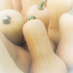 Butternut Squash
