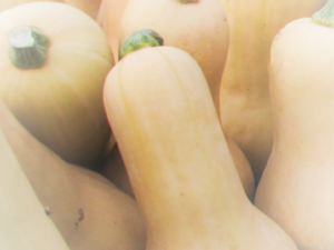 Butternut Squash
