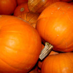 pie-pumpkin