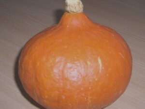 Red Kuri Squash